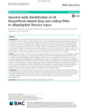 Genome-wide identification of oil biosynthesis-related long non-coding RNAs in allopolyploid Brassica napus