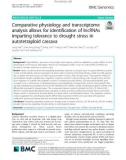 Comparative physiology and transcriptome analysis allows for identification of lncRNAs imparting tolerance to drought stress in autotetraploid cassava