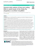 Genome-wide analysis of long non-coding RNAs in adult tissues of the melon fly, Zeugodacus cucurbitae (Coquillett)