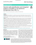 Genome-wide identification and integrated analysis of lncRNAs in rice backcross introgression lines (BC2F12)