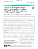 Comparative transcriptome analysis uncovers regulatory roles of long noncoding RNAs involved in resistance to powdery mildew in melon