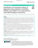 Identification and integrated analysis of glyphosate stress-responsive microRNAs, lncRNAs, and mRNAs in rice using genomewide high-throughput sequencing