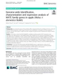 Genome-wide identification, characterization and expression analysis of MATE family genes in apple (Malus × domestica Borkh)