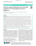 Genome-wide identification and transcript analysis of TCP transcription factors in grapevine