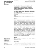 Identification, structural analysis, and expression profile of genes related to starch metabolism in cassava (Manihot esculenta Crantz)