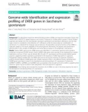 Genome-wide identification and expression profiling of DREB genes in Saccharum spontaneum