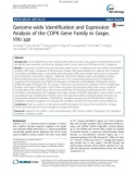 Genome-wide Identification and Expression Analysis of the CDPK Gene Family in Grape, Vitis spp