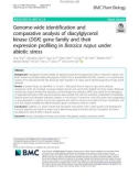 Genome-wide identification and comparative analysis of diacylglycerol kinase (DGK) gene family and their expression profiling in Brassica napus under abiotic stress