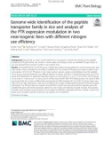 Genome-wide identification of the peptide transporter family in rice and analysis of the PTR expression modulation in two near-isogenic lines with different nitrogen use efficiency