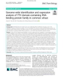 Genome-wide identification and expression analysis of YTH domain-containing RNAbinding protein family in common wheat