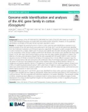 Genome-wide identification and analyses of the AHL gene family in cotton (Gossypium)