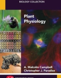 Ebook Plant physiology