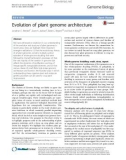 Evolution of plant genome architecture