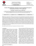 Genome-wide identification and analysis of growth regulating factor genes in Brachypodium distachyon: In silico approaches