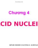 CHƯƠNG 4: ACID NUCLEIC