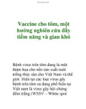 Vaccine cho tôm, một hướng nghiên cứu đầy tiềm năng và gian khó