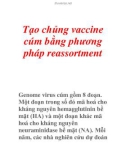 Tạo chủng vaccine cúm bằng phương pháp reassortment