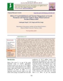 Effect of crop establishment and nutrient management on growth parameter and nutrient uptake in maize wheat system of northern plains of IGP