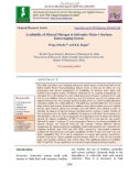 Availability of mineral nitrogen in soil under maize + soybean intercropping system