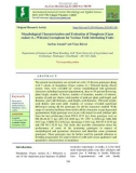 Morphological characterization and evaluation of mungbean [Vigna radiate (L.) Wilczek] germplasm for various yield attributing traits