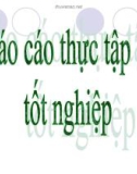 Mô hình bãi chôn lấp