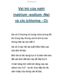 Vai trò của natri (natrium -sodium -Na) và clo (chlorine - Cl)