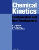 Chemical kinetics fundamentals and new developments