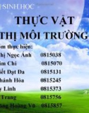 Thực vật chỉ thị môi trường đất