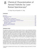 AEROSOL CHEMICAL PROCESSES IN THE ENVIRONMENT - CHAPTER 8