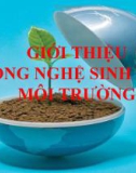 NGUYÊN NHÂN GÂY Ô NHIỄM MÔI TRƯỜNG