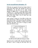 Vai trò của phốt pho (phosphor –P)