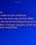 RNA các nghiên cứu và ứng dụng (tt)