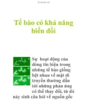 Tế bào có khả năng biến đổi