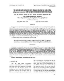 Tìm hiểu đặc điểm di truyền một số quần đàn tôm thẻ chân trắng (Litopenaeus Vannamei) nuôi tại Việt Nam bằng chỉ thị Microsatellite