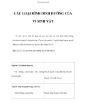 CÁC LOẠI HÌNH DINH DƯỠNG CỦA VI SINH VẬT