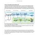 Nâng cao công nghệ xử lý nước thải tại anh