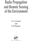 Radio Propagation and Remote Sensing of the Environment