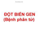 Bài giảng Đột biến gen (Bệnh phân tử)