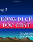 Bài giảng Độc chất học môi trường: Chương 3 - PGS. TS. Lê Quốc Tuấn