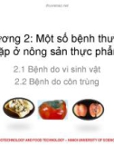 Bài giảng Bảo quản sau thu hoạch: Chương 2 - Nguyễn Thị Hạnh