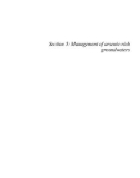 NATURAL ARSENIC IN GROUNDWATER: OCCURRENCE, REMEDIATION AND MANAGEMENT - CHAPTER 30