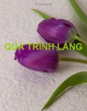 Bài giảng Quá trình lắng