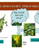 BÀI 42: SINH SẢN HỮU TÍNH Ở THỰC VẬT