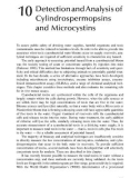 Cyanobacterial Toxins of Drinking Water Supplies: Cylindrospermopsins and Microcystins - Chapter 10