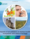 Impacts of air pollution on human health, ecosystems and cultural heritage