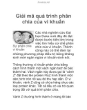 Giải mã quá trình phân chia của vi khuẩn