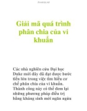 Tài liệu: Giải mã quá trình phân chia của vi khuẩn