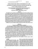 Đánh giá khả năng trích ly Polyphenol từ lá vôi (Cleistocalyx operculatus) bằng phương pháp siêu âm và xử lý bằng enzyme cellulase