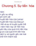 Bài giảng Sinh học đại cương - Chương 5