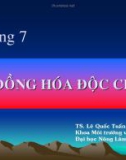 Bài giảng Độc chất học môi trường: Chương 7 - PGS. TS. Lê Quốc Tuấn